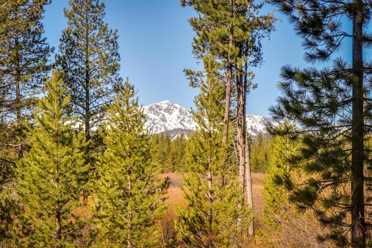 Cozy Seclusion Villa South Lake Tahoe Luaran gambar